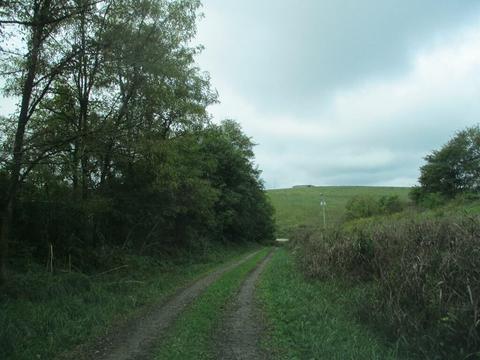 4097 Hilltop Rd, Ewing, KY 41039 photo 14