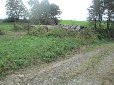 4097 Hilltop Rd, Ewing, KY 41039 photo 4
