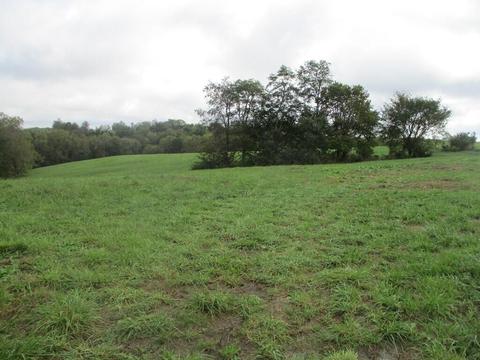 4097 Hilltop Rd, Ewing, KY 41039 photo 7