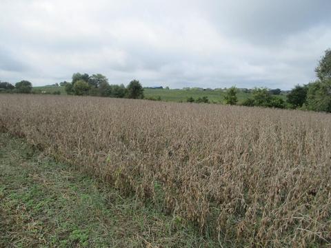 4097 Hilltop Rd, Ewing, KY 41039 photo 13