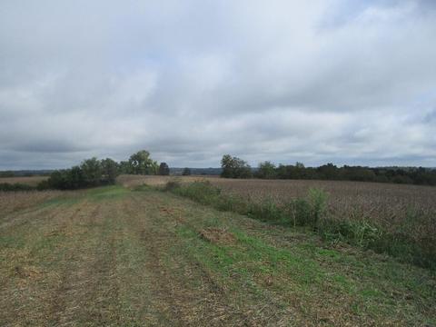 4097 Hilltop Rd, Ewing, KY 41039 photo 10
