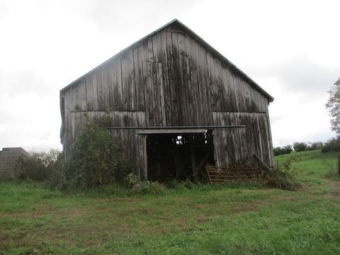 4097 Hilltop Rd, Ewing, KY 41039 photo 5