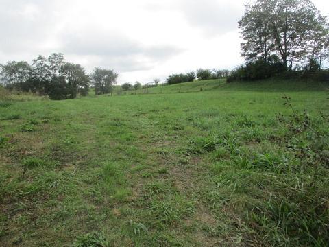 4097 Hilltop Rd, Ewing, KY 41039 photo 6