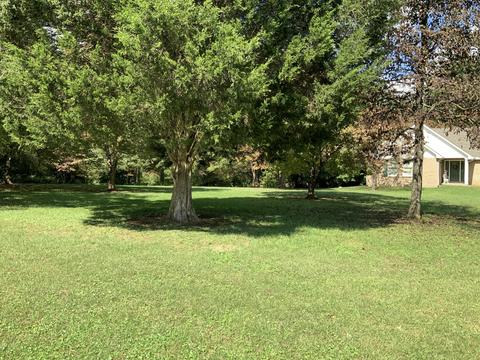 146 Old Decker Rd, Bronston, KY 42518 photo 9