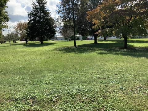 146 Old Decker Rd, Bronston, KY 42518 photo 38
