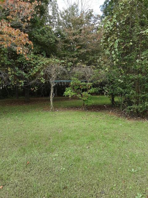 146 Old Decker Rd, Bronston, KY 42518 photo 21