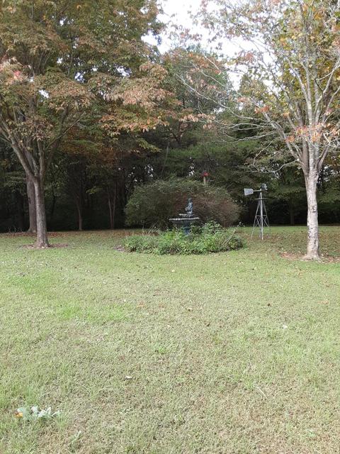 146 Old Decker Rd, Bronston, KY 42518 photo 22