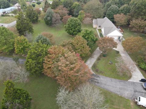 146 Old Decker Rd, Bronston, KY 42518 photo 42