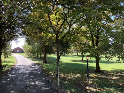 146 Old Decker Rd, Bronston, KY 42518 photo 4
