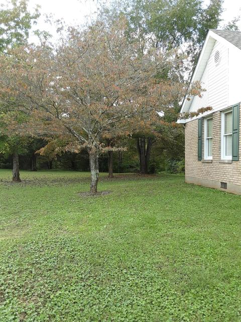 146 Old Decker Rd, Bronston, KY 42518 photo 11