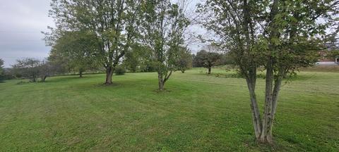 20 Dora Dr, Lancaster, KY 40444 photo 34