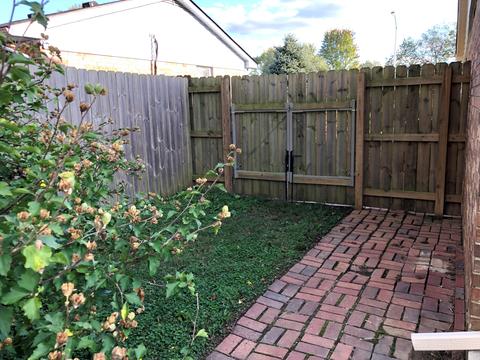 203 Independence Ct, Georgetown, KY 40324 photo 30