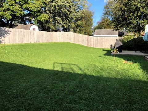 203 Independence Ct, Georgetown, KY 40324 photo 32