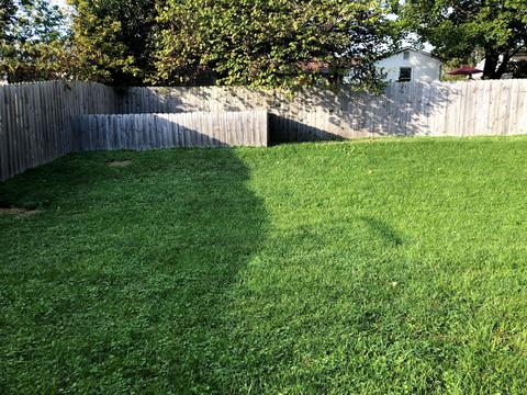 203 Independence Ct, Georgetown, KY 40324 photo 34