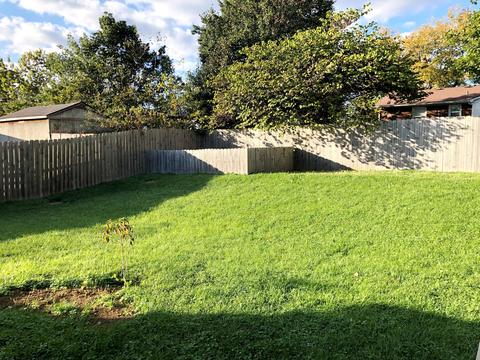 203 Independence Ct, Georgetown, KY 40324 photo 22