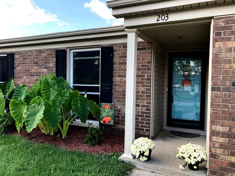 203 Independence Ct, Georgetown, KY 40324 photo 3