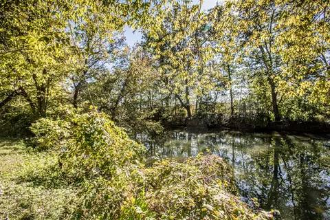 157 Treetop Ct, Georgetown, KY 40324 photo 52