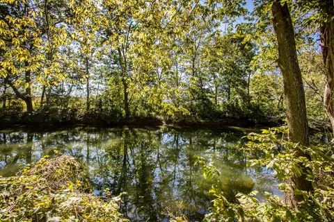 157 Treetop Ct, Georgetown, KY 40324 photo 53