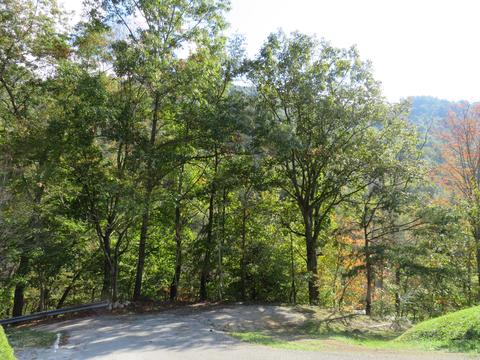6762 E Highway 221, Bledsoe, KY 40810 photo 3