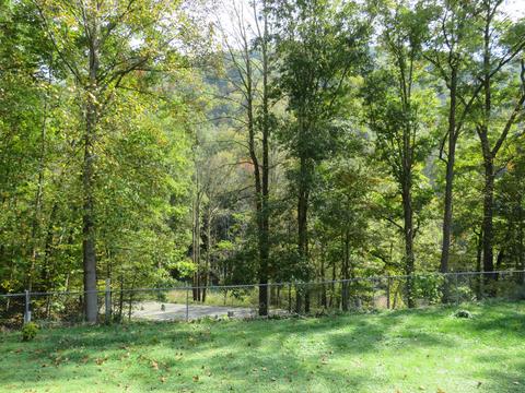 6762 E Highway 221, Bledsoe, KY 40810 photo 26