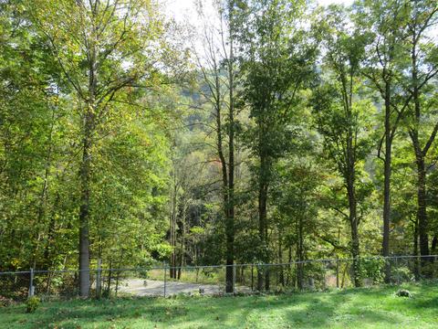 6762 E Highway 221, Bledsoe, KY 40810 photo 27