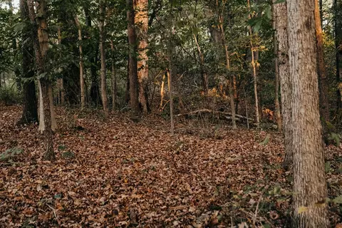 3794 Fall Lick Rd, Lancaster, KY 40444 photo 18