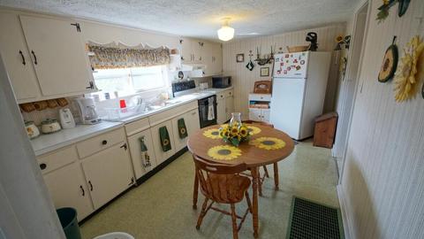 227 Grandview Ave, Burnside, KY 42519 photo 12