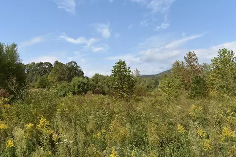 159 Willow St, Middlesboro, KY 40965 photo 14