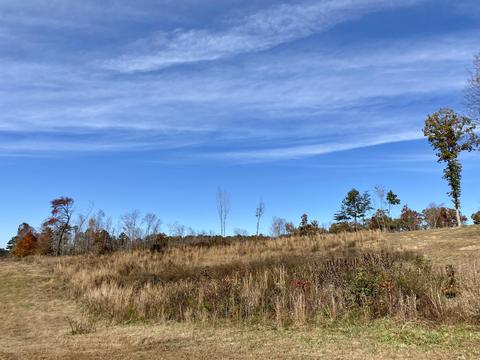 309 Tye Town School Rd, Corbin, KY 40701 photo 7