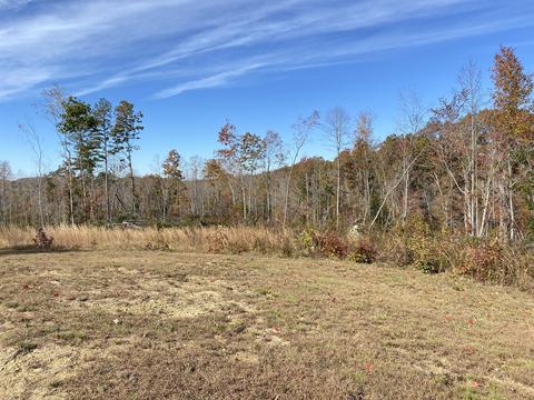 309 Tye Town School Rd, Corbin, KY 40701 photo 5