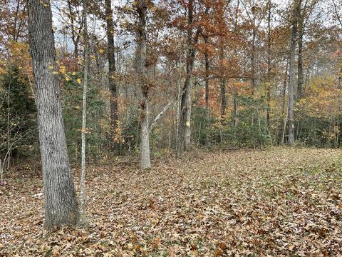 201 Firebrook Dr, Corbin, KY 40701 photo 35