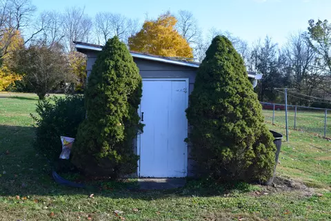 403 Perryville Rd, Springfield, KY 40069 photo 10