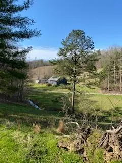 2333 Buncomb Creek Rd, Tyner, KY 40486 photo 6