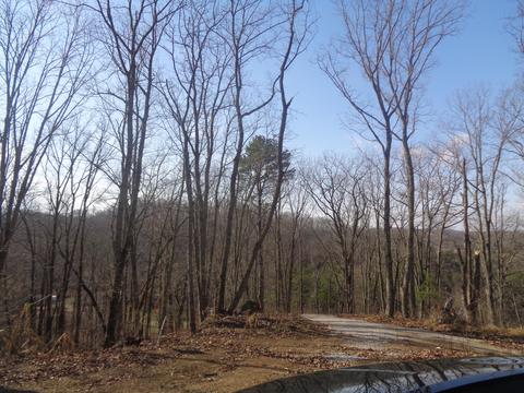D Freeman Branch Road, East Bernstadt, KY 40729