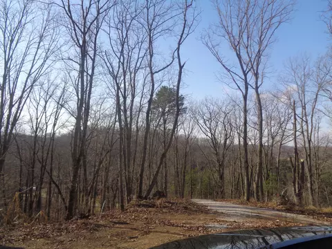 D Freeman Branch Road, East Bernstadt, KY 40729