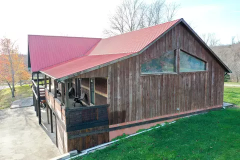 287 Cedar Lk, Ewing, KY 41039 photo 7