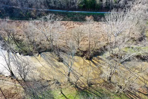 287 Cedar Lk, Ewing, KY 41039 photo 34