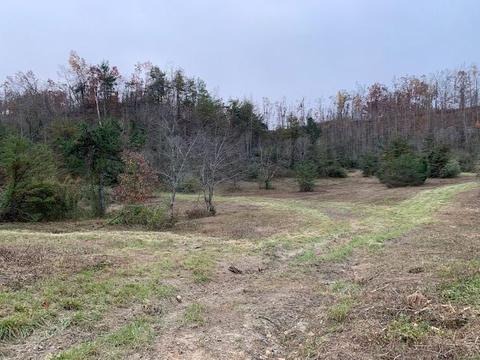 6100 Highway 844, West Liberty, KY 41472