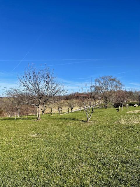 1090 Deer Lick Rd, Ewing, KY 41039 photo 10