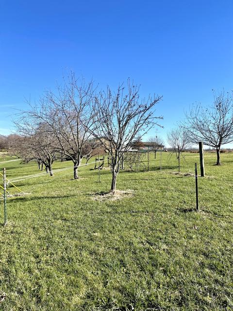 1090 Deer Lick Rd, Ewing, KY 41039 photo 12