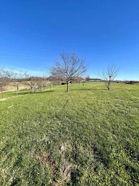 1090 Deer Lick Rd, Ewing, KY 41039 photo 11