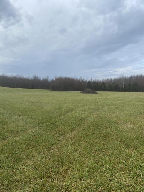 74 David Roy Rd # -A, Russell Springs, KY 42642