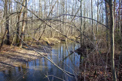 498 Bee Lick Rd, Brodhead, KY 40409 photo 18