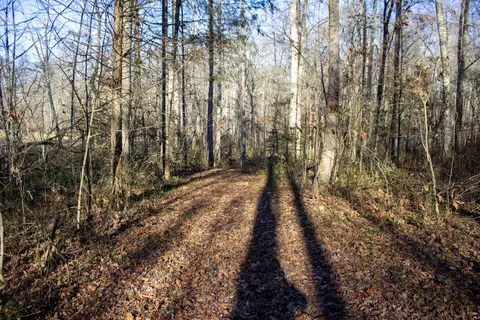 498 Bee Lick Rd, Brodhead, KY 40409 photo 17