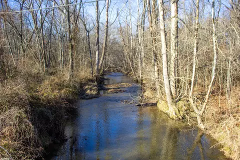 498 Bee Lick Rd, Brodhead, KY 40409 photo 22