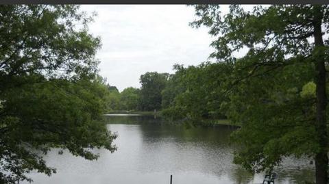 390 Cricket Ln, Berry, KY 41003 photo 90