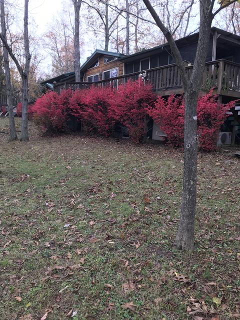 390 Cricket Ln, Berry, KY 41003 photo 87