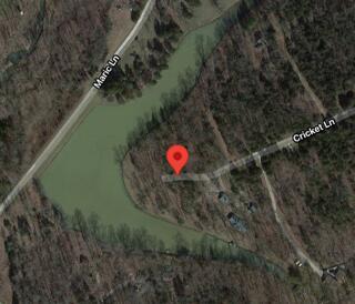 390 Cricket Ln, Berry, KY 41003 photo 85