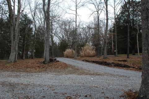390 Cricket Ln, Berry, KY 41003 photo 59
