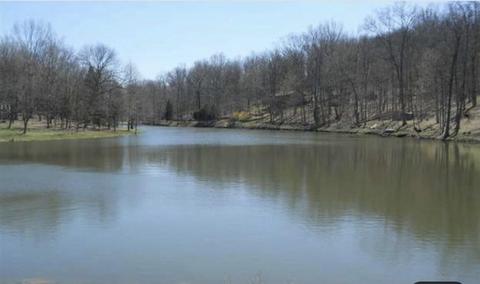 390 Cricket Ln, Berry, KY 41003 photo 89